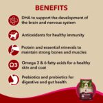 Meat Up Puppy Dry Dog Food 10kg + 10kg (Free) 20kg Chicken and Milk FlavourDevelopment of Brain and Nervous System Maintain Digestive Health Vitamins and Minerals - Image 3