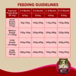 Meat Up Puppy Dry Dog Food 10kg + 10kg (Free) 20kg Chicken and Milk FlavourDevelopment of Brain and Nervous System Maintain Digestive Health Vitamins and Minerals - Image 6