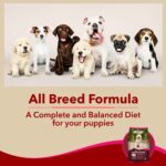 Meat Up Puppy Dry Dog Food 10kg + 10kg (Free) 20kg Chicken and Milk FlavourDevelopment of Brain and Nervous System Maintain Digestive Health Vitamins and Minerals - Image 7