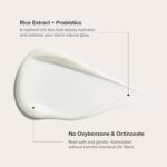 Beauty of Joseon Relief Sun Rice + Probiotics 50 ml SPF 50+ PA++++ Lightweight Korean Sunscreen for Oily Skin - Image 4