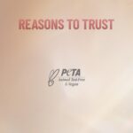 Swiss Beauty Cream It Up Blush | Highly pigmented | Super-blendable | Long-lasting | Enriched with Shea Butter | Multipurpose | Shade-03 Cheeky Peach, 10ml - Image 5