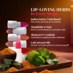Just Herbs Ayurvedic Creamy Matte Micro Mini Lipstick Kit Lip Hydrating & Moisturizing, Lipsticks for Women Suitable All Indian Tones (Pack of 16) - Image 5