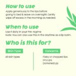 PLIX Pomegranate Youth Renewal Complete Care Combo | Cleanser, Retinol Serum, Night Cream & Lip Mask | Reduces Fine Lines, Hydrates & Brightens Skin & Lips - Image 8