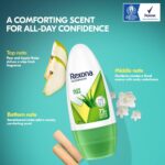 Rexona Aloe Vera Underarm Roll On Deodorant For Women, Antiperspirant, Removes Odour, Keeps Skin Fresh & Clean, Alcohol Free, Skin Friendly, 50 ml - Image 8