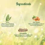 Biotique Morning Nectar Flawless Skin Moisturizer Lotion L Prevents Dark Spots, Blackheads And Blemishes L Visibly Flawless Skin L Nourishes And Hydrates Skin L All Skin Types L 190Ml - Image 5