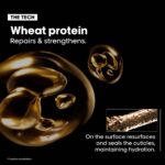 L'Oreal Paris Serie Expert Lipidium Absolut Repair Masque, 250 ml - Image 5