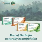 Himalaya Herbals Protecting Neem and Turmeric Soap, 75g - Image 6