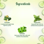 Biotique Cucumber Pore Tightening Toner| Ayurvedic and Organically Pure| Maintains Skin’s Natural pH |100% Botanical Extracts| Suitable for Normal & Oily Skin Types| 120mL - Image 4