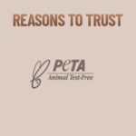 Swiss Beauty Premium Synthetic Bristle Professional Face & Eye Makeup Brushes Set With 6 Makeup Brushes For Cream, Liquid & Powder Formulation - Image 6