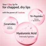 Chemist At Play Tinted Cherry Lip Balm with SPF 50 PA++++ | 1% Kojic Acid | Lip-balm for Dark and Dry Lips | Moisturising Lip Balm for Chapped Lip | Brightens Dark Lips | For Men & Women | 4.5 g - Image 5