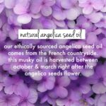 Love Beauty And Planet Rice Water & Angelica Seed Oil Silicone-Free Curl & Waves Conditioner|| No Parabens|| No Dyes|| Angelica Essential Oil|| 400ml - Image 5