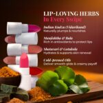 Just Herbs Ayurvedic Lipstick Micro-mini Kit | Kit of 8 Matte Lipsticks | Long-lasting | Weightless | Ayurvedic Formula | Travel-friendly - 9.6g - Image 4