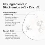 The Ordinary Niacinamide 10% + Zinc 1%, Brightening & Smoothing Serum for Blemish-Prone Skin - Image 3