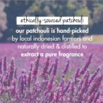 Love Beauty & Planet Onion, Black Seed & Patchouli Hairfall Control Natural Conditioner|No Sulfates,No Paraben|200ml - Image 5