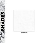 SUGAR All Set To Go Translucent Powder for shine constrol | Matte Loose Setting Powder | Blurs Pores & Fine Lines | 7gm - Image 8