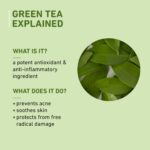 Plum Green Tea Renewed Clarity Night Gel Mini | Hydrates Skin & Fights Acne | Lightweight, Quick-Absorbing, Non-Sticky Gel Texture | Oily, Acne-Prone Skin | 100% Vegan(15ml) - Image 5