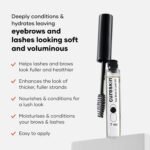 Cureskin Eye Brow & Lash Oil | Nourishes and Strengthens (7 ml) | Eyelash Growth Serum | Lash Serum for Eyelash Growth - Image 3
