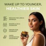 Vanaura Organics Rejuvinita Gold 32+ | Overnight Cream for Glowing Skin | Anti Ageing Night Cream for Women and Men | Pigmentation & Wrinkles | Tanning & Dullness | for 32-45 Age groups - Image 4