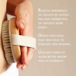 Episkey Dry Skin Body Brush Improves Skin's Health and Beauty With Natural Bristle | Remove Dead Skin and Toxins, Cellulite Treatment, Exfoliates, Stimulates Blood Circulation (WOODN_BATH) - Image 4