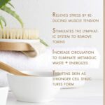 Episkey Dry Skin Body Brush Improves Skin's Health and Beauty With Natural Bristle | Remove Dead Skin and Toxins, Cellulite Treatment, Exfoliates, Stimulates Blood Circulation (WOODN_BATH) - Image 5