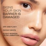 Lakmé Peach Milk Creme Moisturizer with 2% Pro-Ceramide & Peptides | Repairs Damaged Skin Barrier & Gives Intense Hydration | For Dry, Normal & Sensitive 200g - Image 6