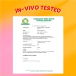 DOT & KEY Vitamin C + E Super Bright Sunscreen Spf 50 In-Vivo Tested | Water-Light,UVA/UVB & Blue Light Protection|For Even Toned & Glowing Skin|With Liquid Spf 50+++| No White Cast| For All Skin Types | 30G - Image 8