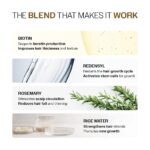 Bare Anatomy Advanced Hair Growth Serum | 3% Redensyl, 4% Anagain, 3% Baicapil, 1% Capilia Longa, Rosemary, Biotin & Rice Extract | Hairfall control & Hair Density | Women & Men | 30ml - Image 4