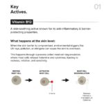 Minimalist Barrier Repair Face Moisturizer with Vitamin B12 Complex 5.5% with Ceramides for All Skin Types | Strengthens Skin Barrier, Boosts Hydration, Soothing, Lightweight Gel Texture | 10 gm - Image 3