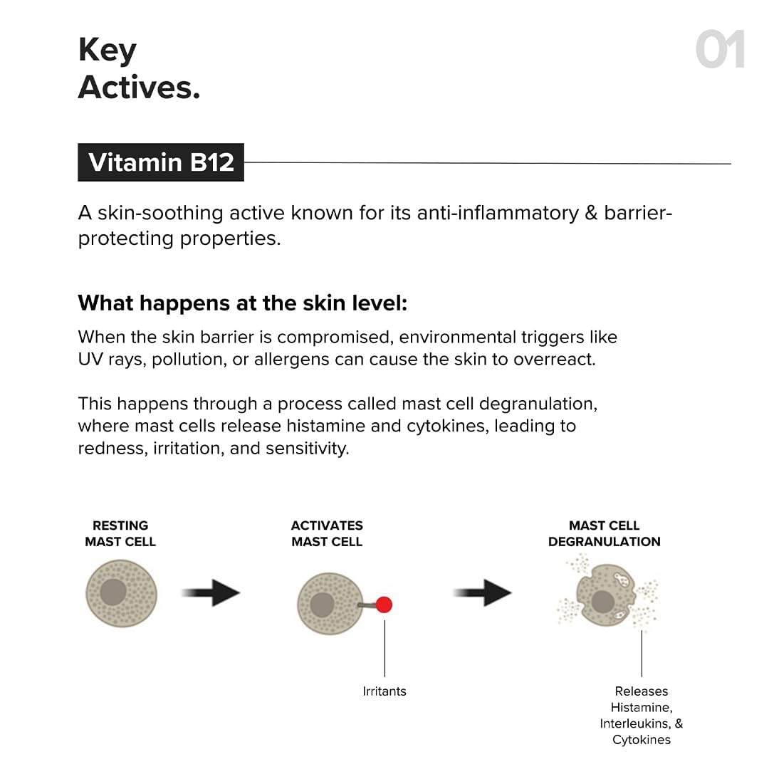 Minimalist Barrier Repair Face Moisturizer with Vitamin B12 Complex 5.5% with Ceramides for All Skin Types | Strengthens Skin Barrier, Boosts Hydration, Soothing, Lightweight Gel Texture | 10 gm - Image 3