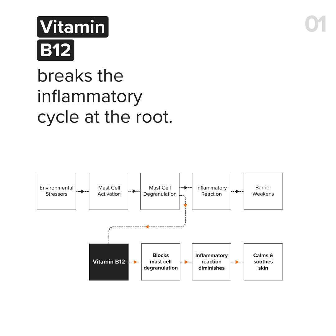 Minimalist Barrier Repair Face Moisturizer with Vitamin B12 Complex 5.5% with Ceramides for All Skin Types | Strengthens Skin Barrier, Boosts Hydration, Soothing, Lightweight Gel Texture | 10 gm - Image 4