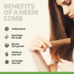 Rusabl Kacchi Neem Wooden Comb (Fine & Wide Tooth), Dual Tooth Design, 100% Pure Neem Wood, No Handle, For Men & Women, Ideal for Detangling, Frizz Control & Shine, Suited for All Hair Types - Image 6