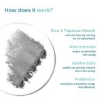 WishCare Air Powder Dry Shampoo for Oily Hair & Scalp - No White Cast & Aerosol - Niacinamide, Probiotics, Kaolin Clay, Rice & Tapioca Starch - Volume Boost, Scalp Refresh & Reset 10gm - Image 4