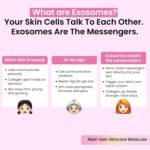 Dr. Su Exosome Anti-Ageing Serum | Hydrating, Firming & Plumping | With Hyaluronic Acid & Copper Peptide | Boosts Collagen | Reduces Wrinkles & Fine Lines | 30ml - Image 4