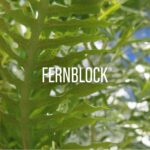 Heliocare 360 Invisible Body Sunscreen Spray SPF 50+ PA++++ | Wet Skin Use, No White Cast | Water-Resistant Outdoor Sunscreen | UVA UVB + Blue Light + IR-A Protection | Fernblock® Antioxidant | 200ml - Image 4