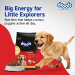 Drools Puppy Dry Dog Food 10kg | Chicken & Egg Flavour | Promotes Optimum Growth | Omega 3 & 6 for Healthy Growth | Better Digestibility & Health | DHA for Smarter & Strong Puppy - Image 2