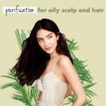 Love Beauty & Planet Tea Tree|| Peppermint & Vetiver Sulfate Free Purifying Shampoo|| No Parabens|| No Dyes|| 200ml - Image 2