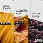 Ruby's Organics Semi-Matte Lipstick for Women All Indian Tones- Highly Pigmented, Moisturizing, Non Drying, Lightweight and Long Lasting- Lip Makeup, Synthetic Chemical Free - Ruby's Red, 3.7g - Image 2