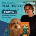 Thrive Bark Out Loud -Dry Dog Food Adult (800 gm) Real Chicken, Antioxidants, Vitamins & Minerals, Omega-3 & Omega-6, Yucca for Digestion Complete & Balanced Dog Food for All Breeds - Image 2